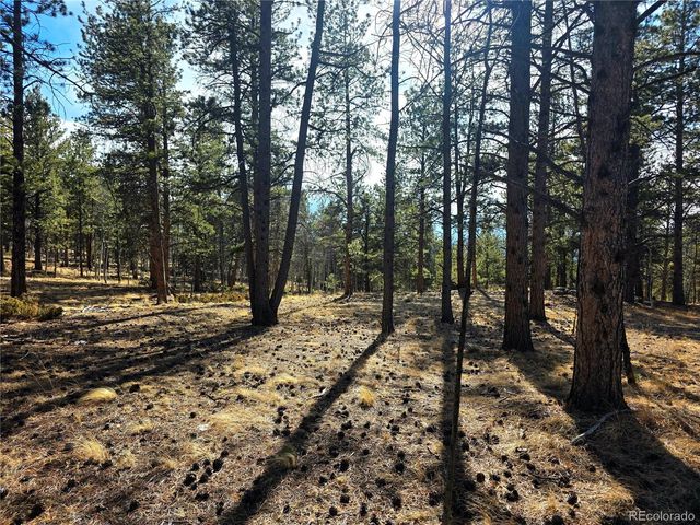 2063 Vagabond Creek Drive, Lake George, CO 80827