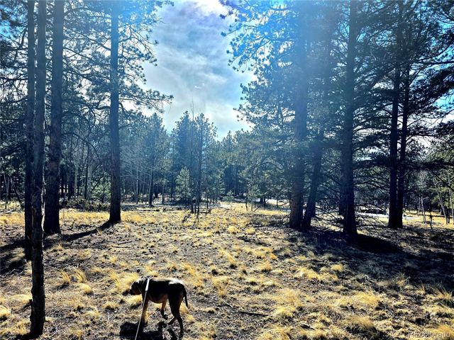 2063 Vagabond Creek Drive, Lake George, CO 80827