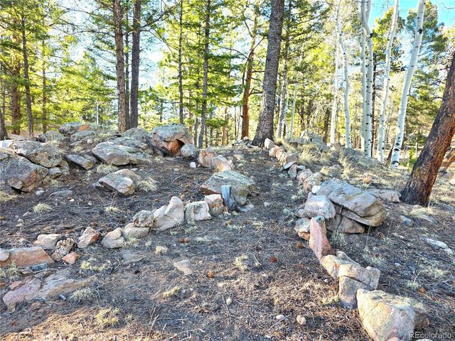 2063 Vagabond Creek Drive, Lake George, CO 80827