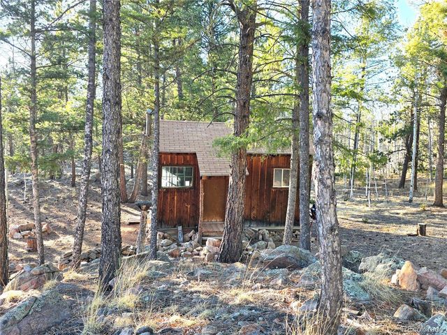 2063 Vagabond Creek Drive, Lake George, CO 80827