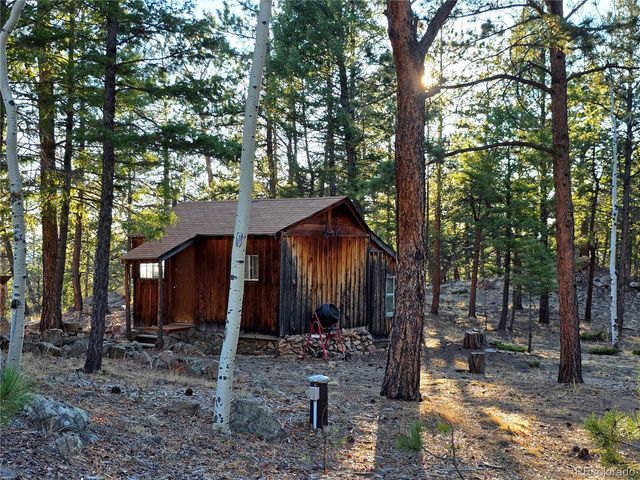 2063 Vagabond Creek Drive, Lake George, CO 80827