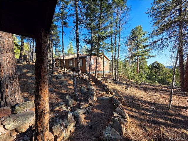 2063 Vagabond Creek Drive, Lake George, CO 80827