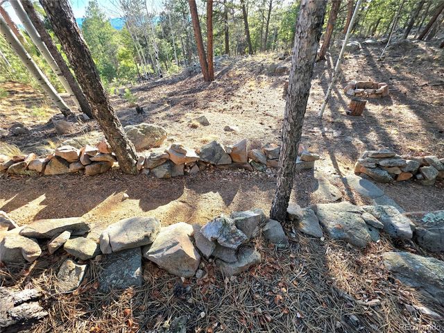 2063 Vagabond Creek Drive, Lake George, CO 80827