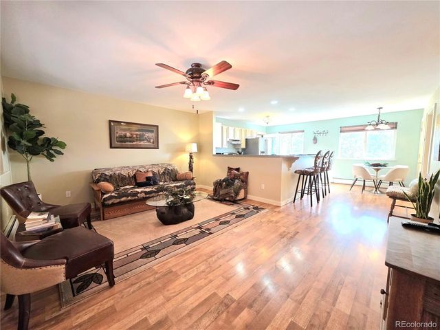 2063 Vagabond Creek Drive, Lake George, CO 80827