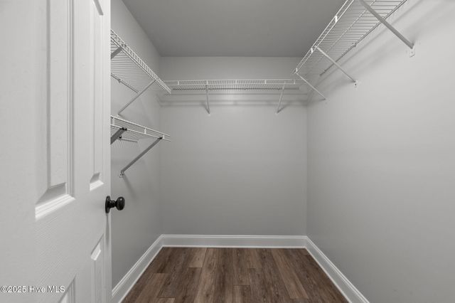 2506 Madison Circle, Greenville, NC 27858