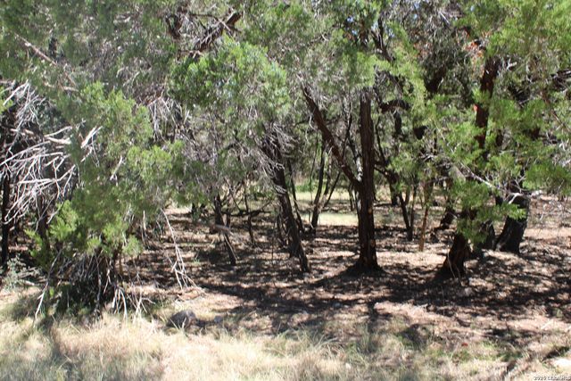 0 Colleen, Canyon Lake, TX 78133