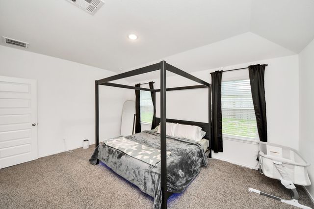 1313 Bison View Lane, Sealy, TX 77474