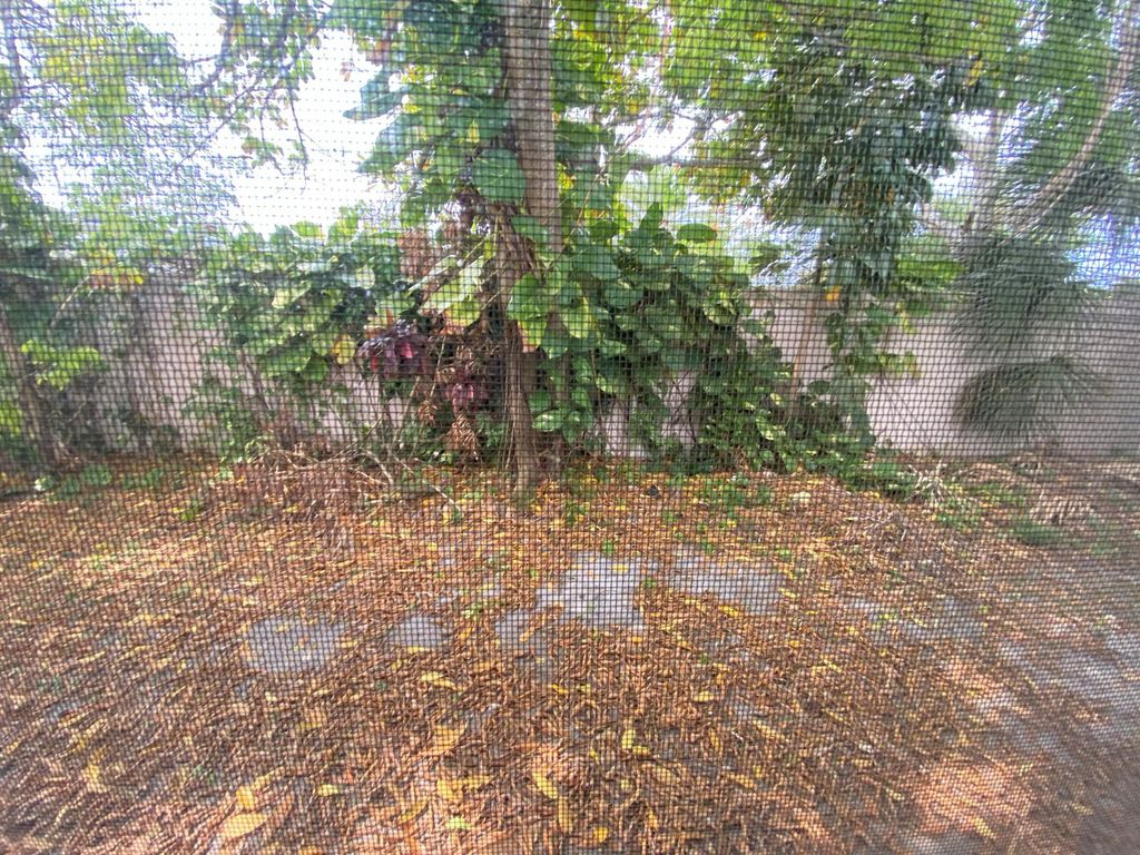 Image 12 of property listing at 5139 NW 43rd Court, Lauderdale Lakes, FL 33319