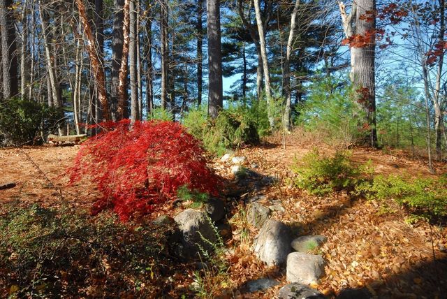 96 Forest Ridge Rd 96, Concord, MA 01742
