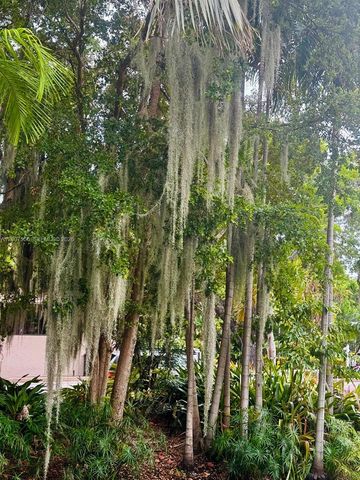 101 Crandon Blvd 276, Key Biscayne, FL 33149