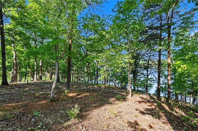 1629 Healing Springs Drive, Denton, NC 27239