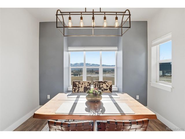 1206 Mineral Belt Green, Leadville, CO 80461