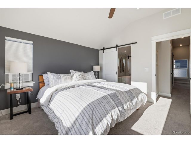 1206 Mineral Belt Green, Leadville, CO 80461