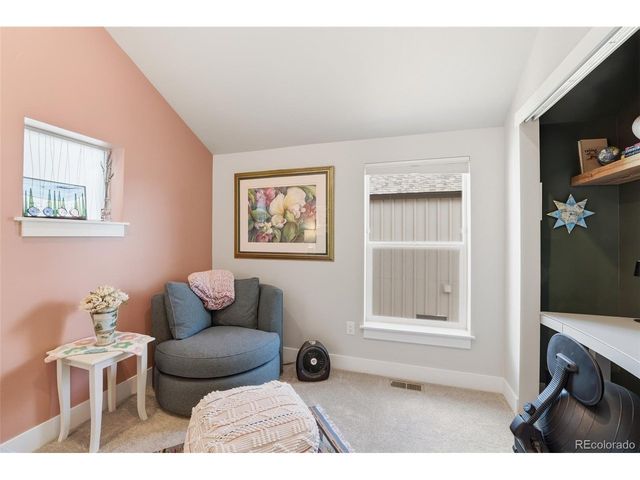 1206 Mineral Belt Green, Leadville, CO 80461