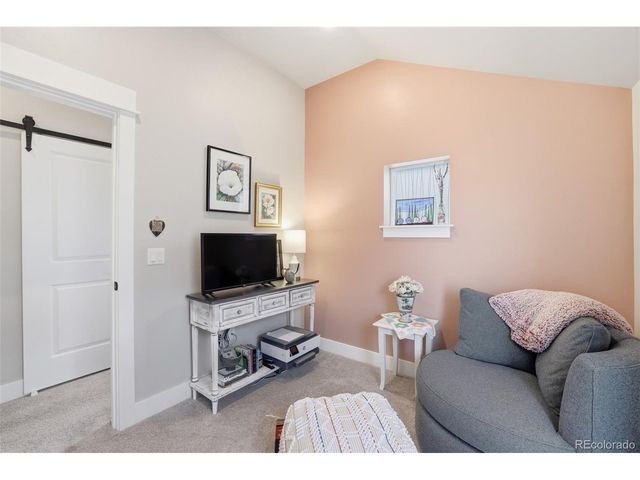 1206 Mineral Belt Green, Leadville, CO 80461
