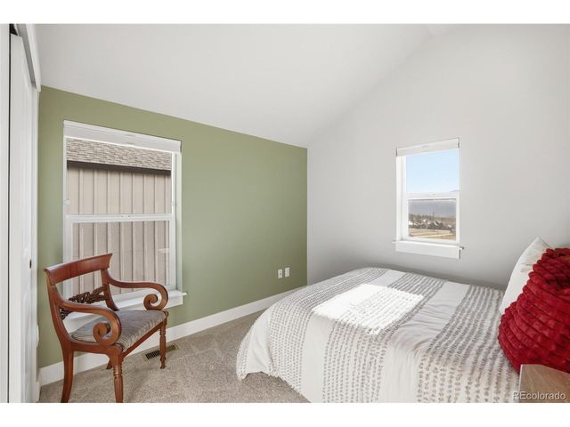1206 Mineral Belt Green, Leadville, CO 80461