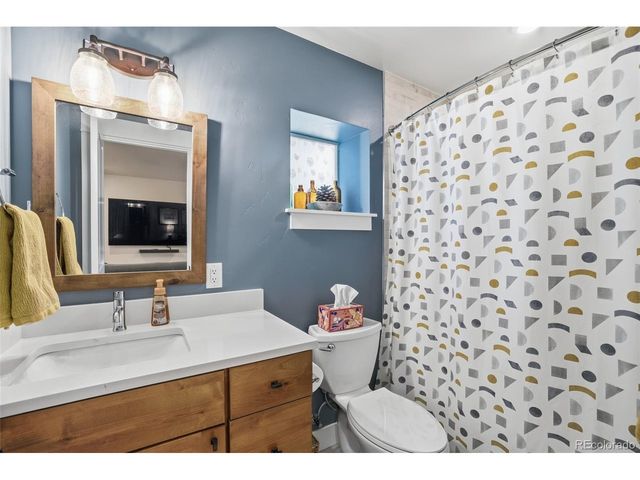 1206 Mineral Belt Green, Leadville, CO 80461
