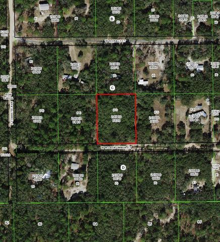 4385 W ROADRUNNER COURT, Homosassa, FL 34446