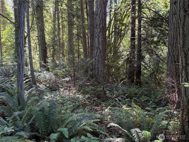 156 XX Lot 1 Marine Drive, Stanwood, WA 98292