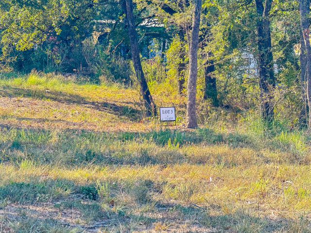 Lot 3 Bordeaux Lane, Corsicana, TX 75109