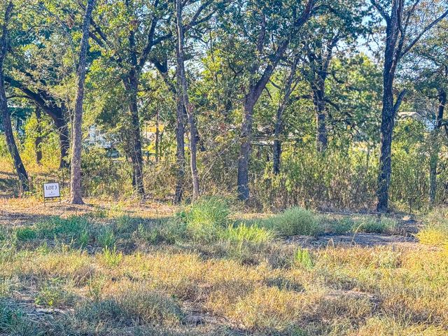 Lot 3 Bordeaux Lane, Corsicana, TX 75109