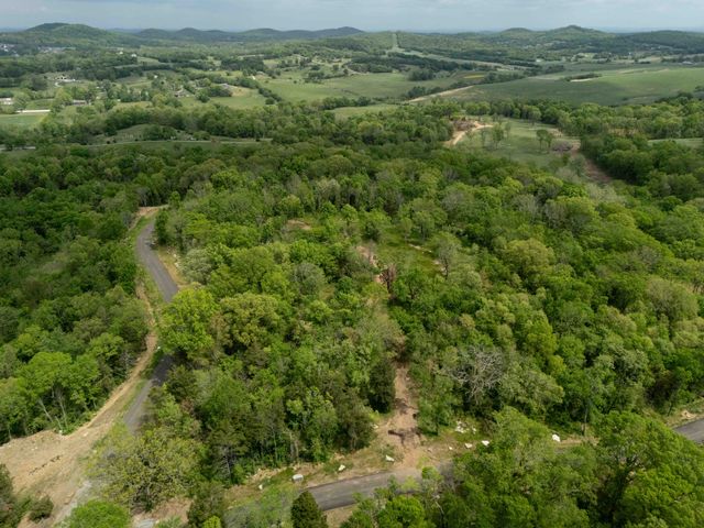 8018 Wilder Pass, Arrington, TN 37014
