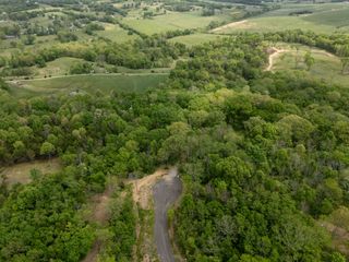 8018 Wilder Pass, Arrington, TN 37014