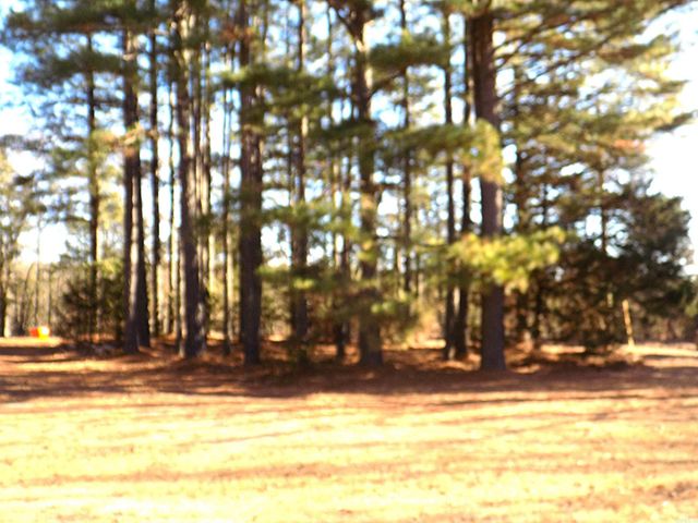 192 Clinton Mountain Road, Greenbrier, AR 72058