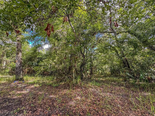 OLD HUNTER ROAD, Brooksville, FL 34601