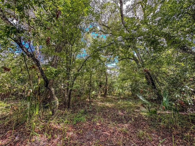 OLD HUNTER ROAD, Brooksville, FL 34601