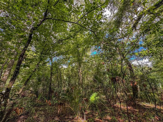 OLD HUNTER ROAD, Brooksville, FL 34601