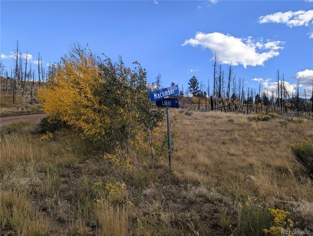 1129 Laker Lane, Fort Garland, CO 81133