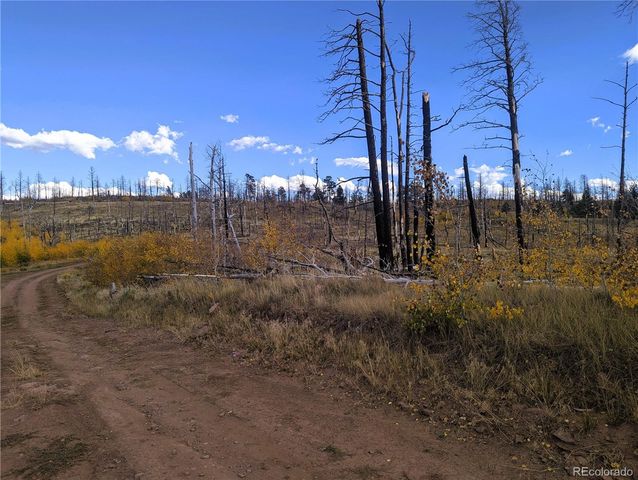 1129 Laker Lane, Fort Garland, CO 81133