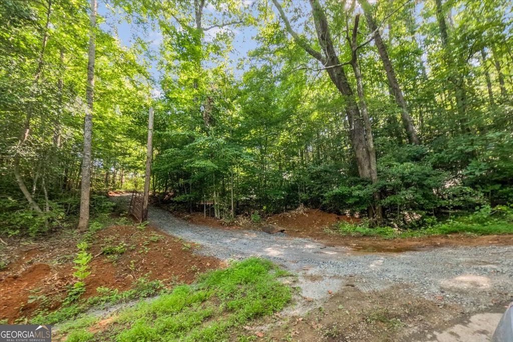 LOT 1 & 2 The Bear Boulevard, Tamassee, SC 29696 — photo 3