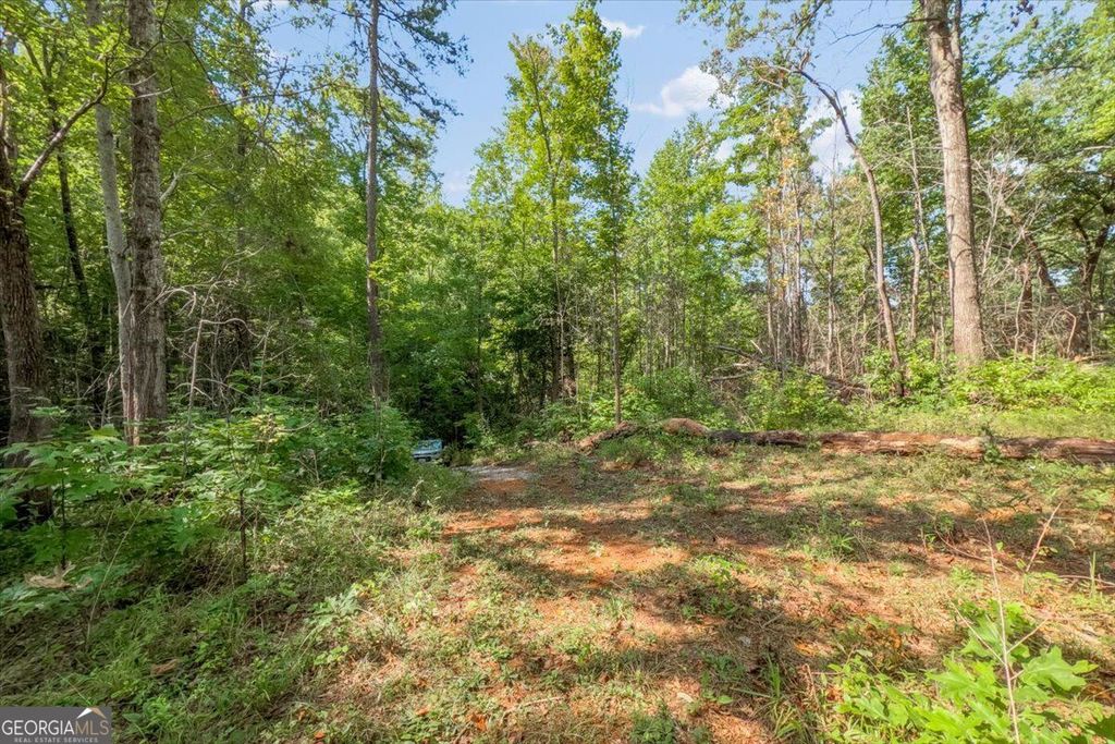 LOT 1 & 2 The Bear Boulevard, Tamassee, SC 29696 — photo 4
