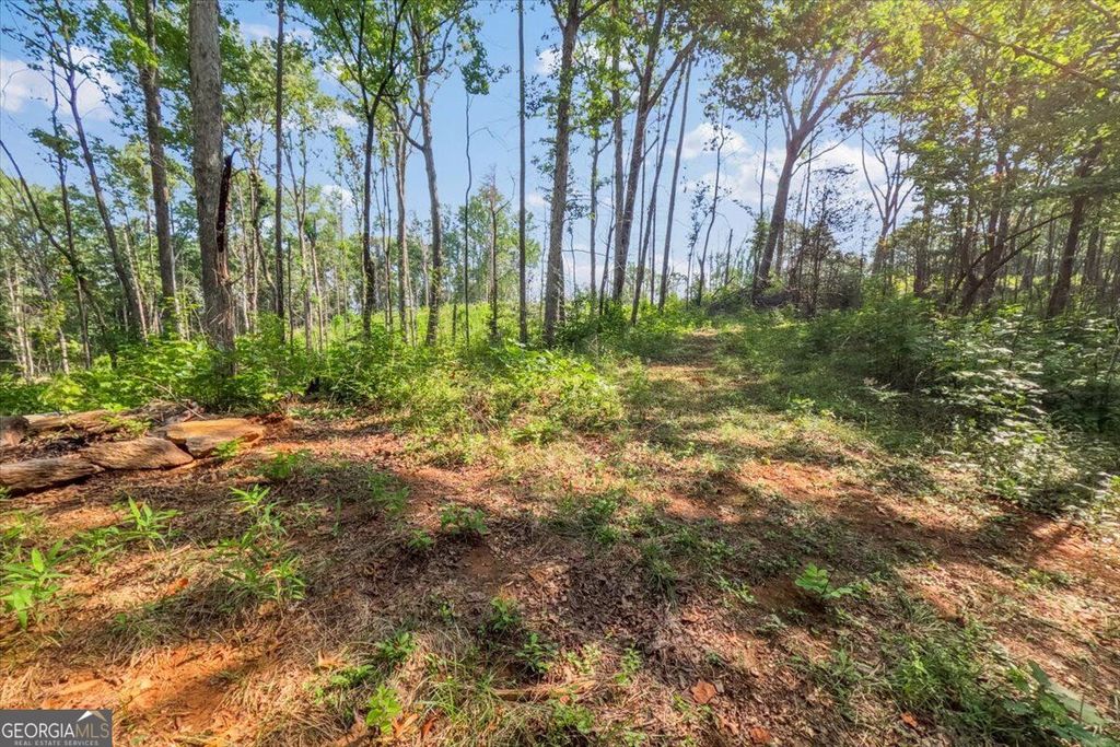 LOT 1 & 2 The Bear Boulevard, Tamassee, SC 29696 — photo 5