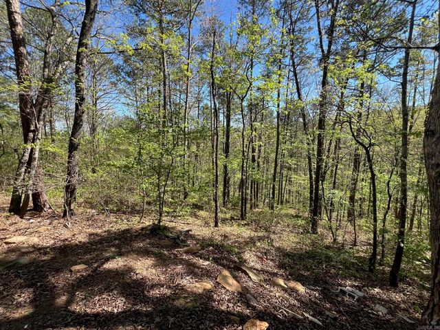 233 White, Clinton, AR 72031