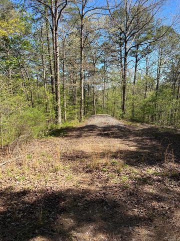 233 White, Clinton, AR 72031