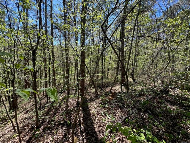 233 White, Clinton, AR 72031