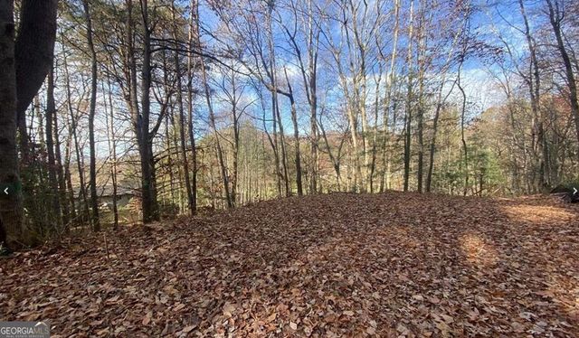 1 Barefoot Hills Road, Hiawassee, GA 30546