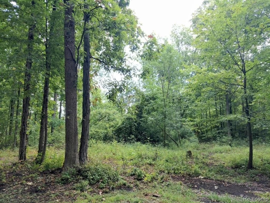 03 Joann Drive, Newport, MI 48166