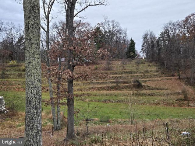 163 CABIN LN, Winchester, VA 22603