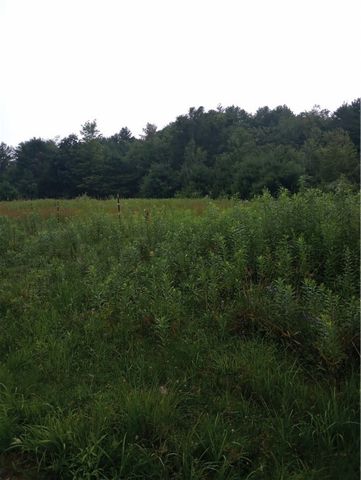 2091 Parker Hollow Road, Masonville, NY 13849