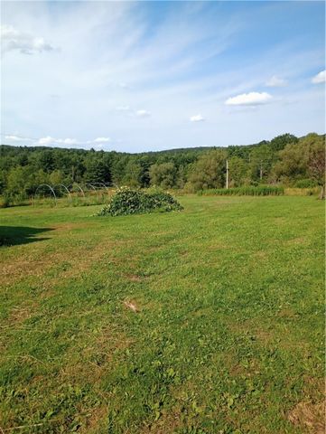 2091 Parker Hollow Road, Masonville, NY 13849