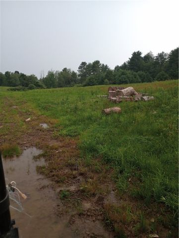 2091 Parker Hollow Road, Masonville, NY 13849