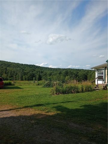 2091 Parker Hollow Road, Masonville, NY 13849