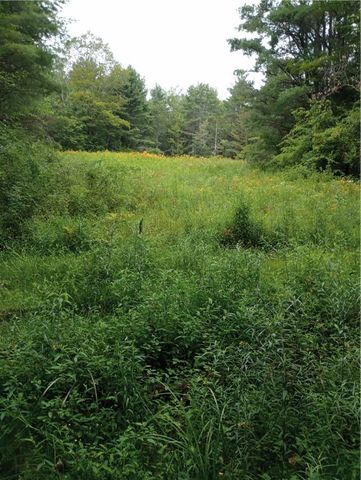 2091 Parker Hollow Road, Masonville, NY 13849