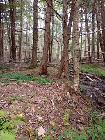 2091 Parker Hollow Road, Masonville, NY 13849