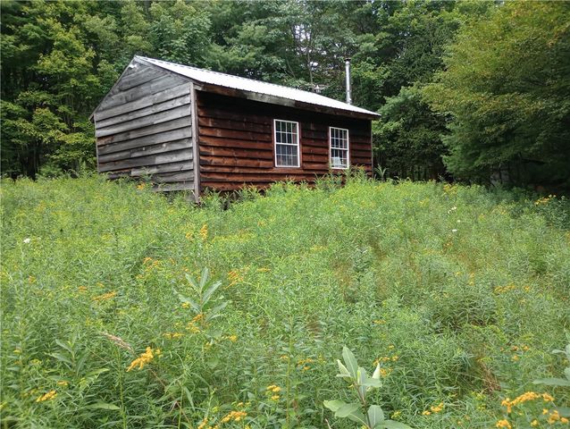 2091 Parker Hollow Road, Masonville, NY 13849