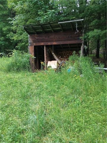 2091 Parker Hollow Road, Masonville, NY 13849